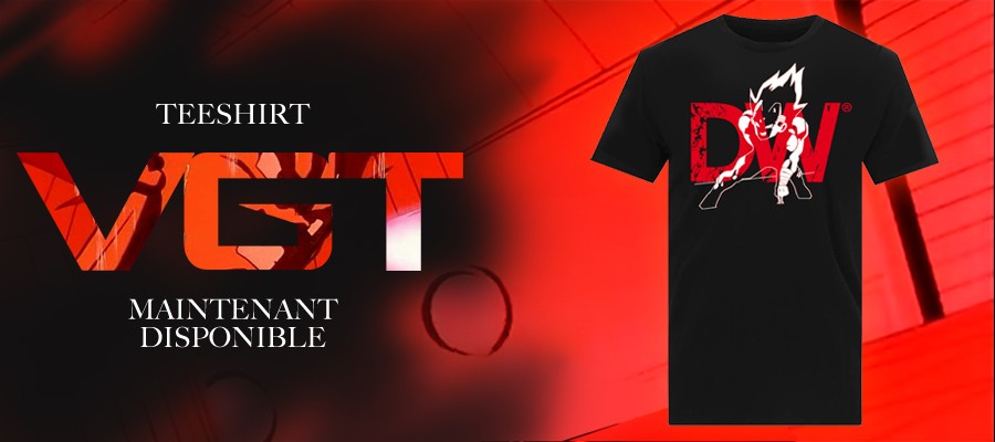 teeshrt VGT